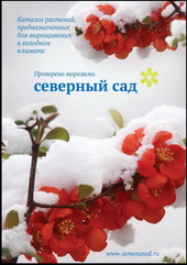 ДЕКОРАТИВНЫЕ И ПЛОДОВЫЕ РАСТЕНИЯ. СЕВЕРНЫЙ САД