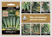 ПЛАКАТЫ